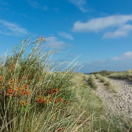 Nordsee Liebe Haus D