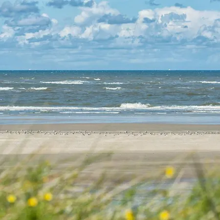 Nordsee Liebe Haus D Holiday home